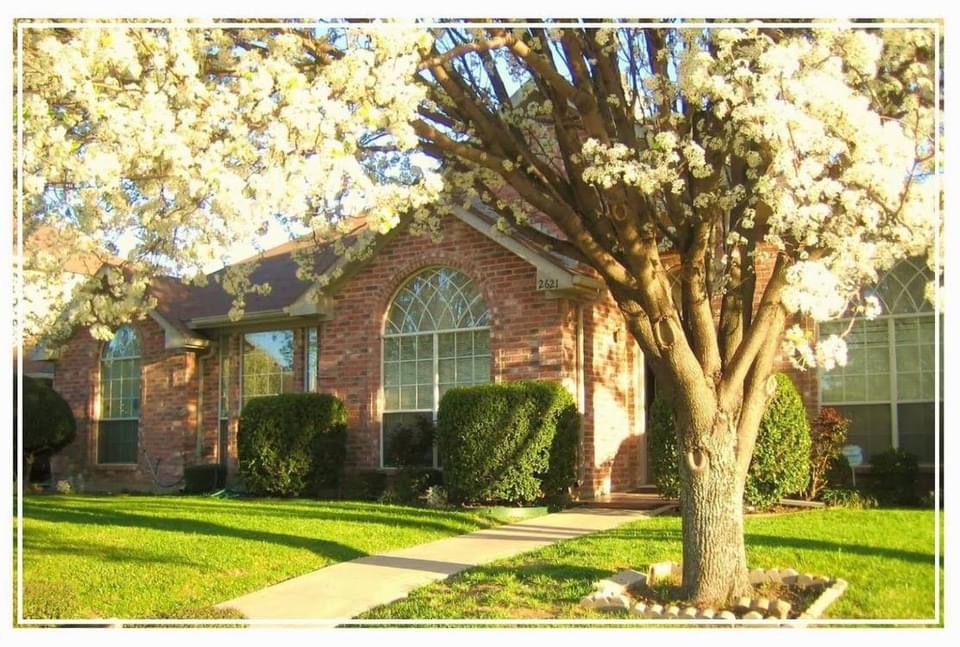 Sophya'S Assisted Living