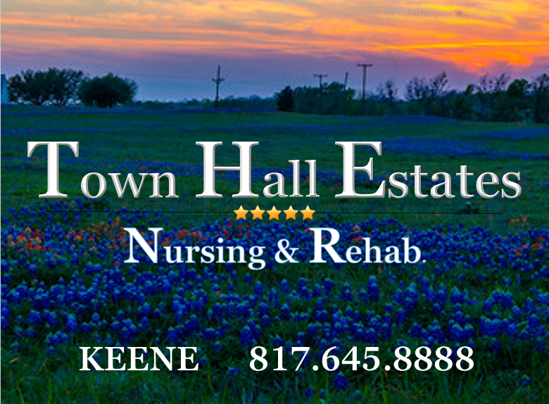 TOWN HALL ESTATES KEENE INC