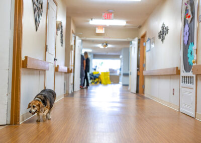 HURST PLAZA NURSING & REHAB