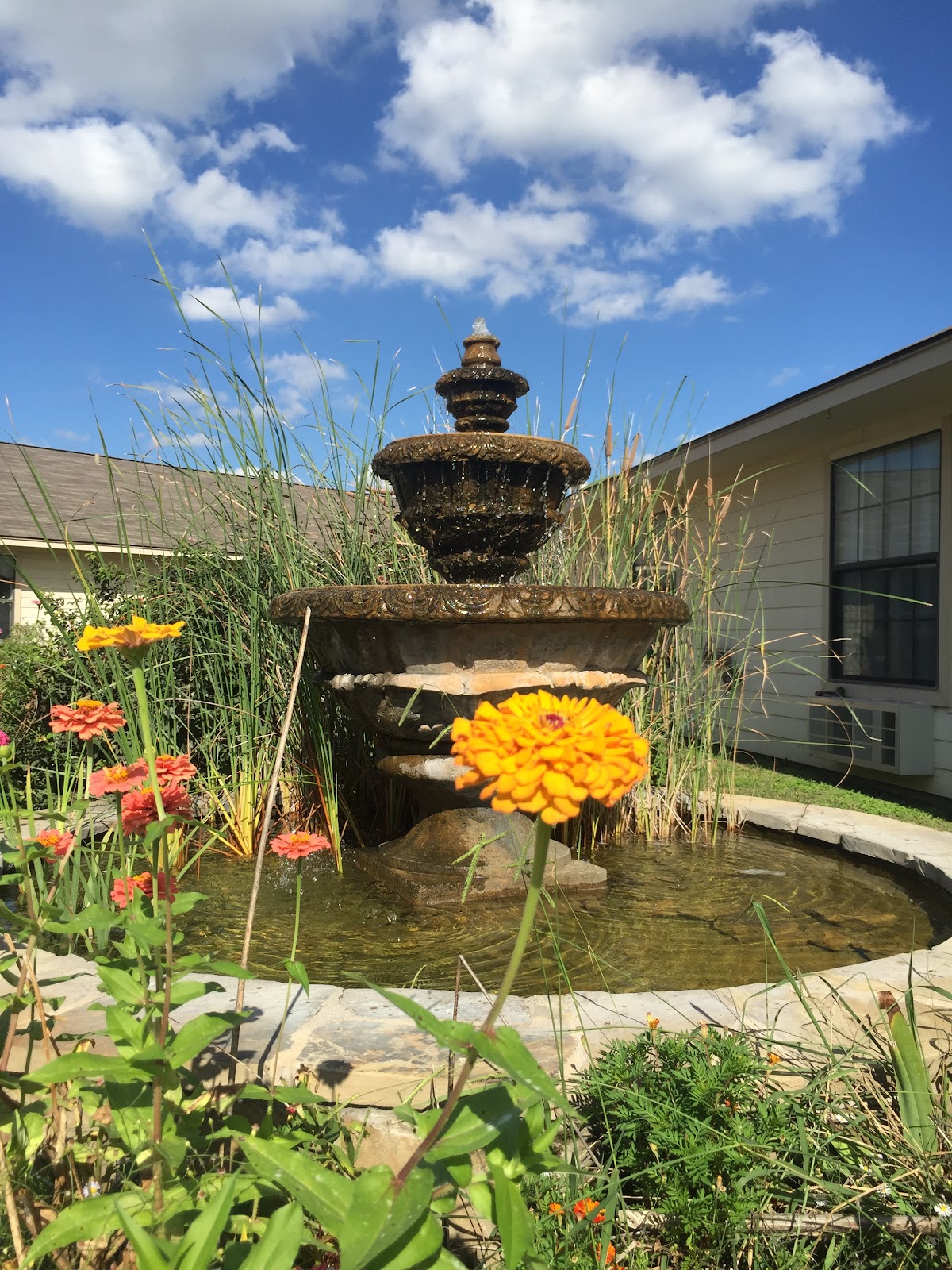 SAGEBROOK NURSING AND REHABILITATION photo 6