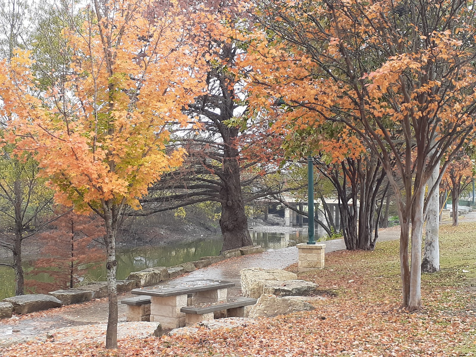 CIBOLO CREEK
