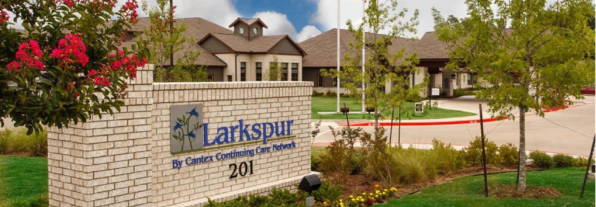 LARKSPUR photo 1