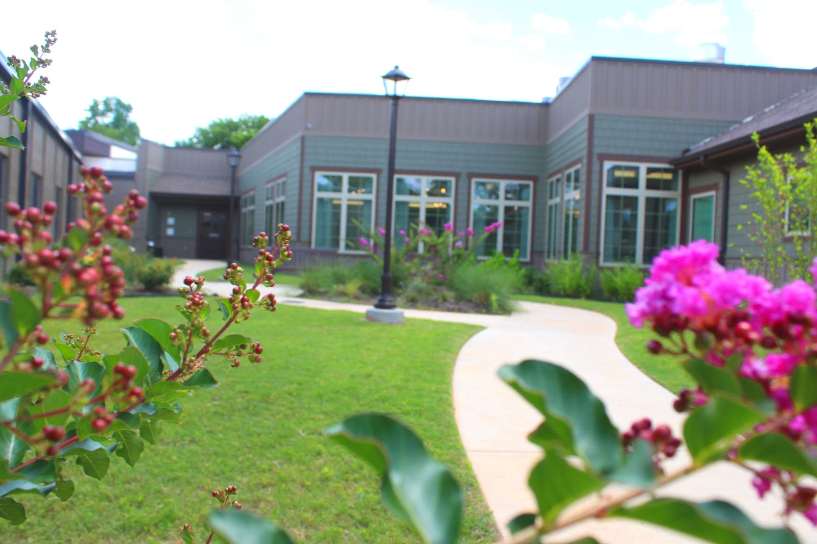 ARBOR GRACE WELLNESS CENTER