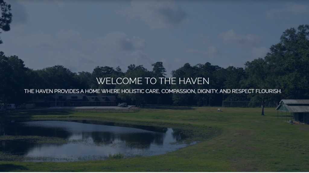 THE HAVEN