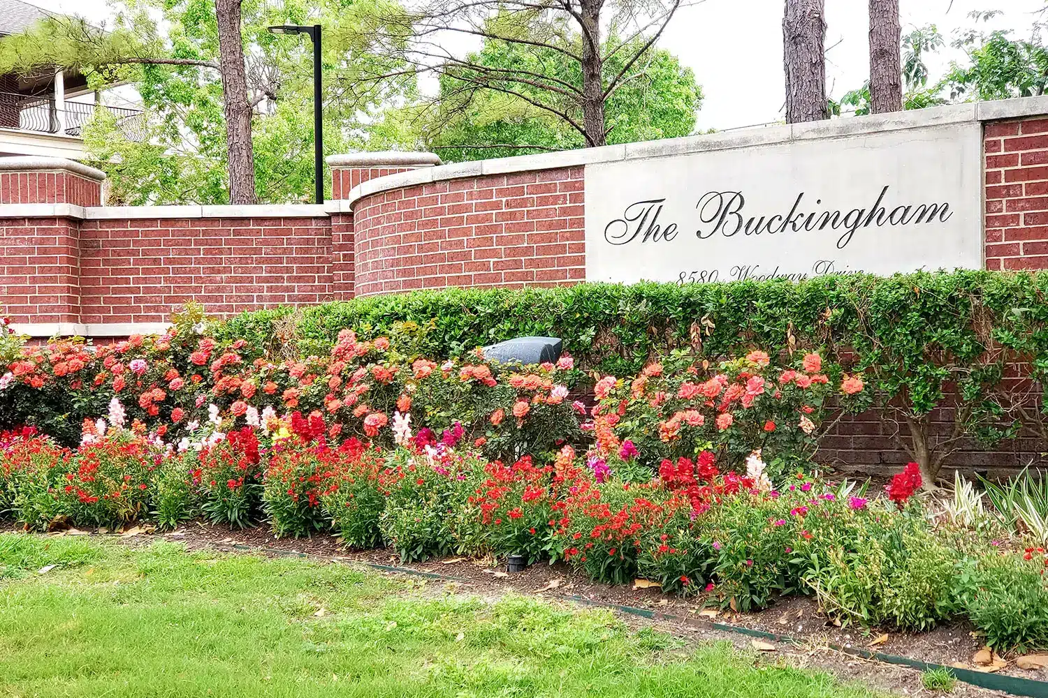 THE BUCKINGHAM