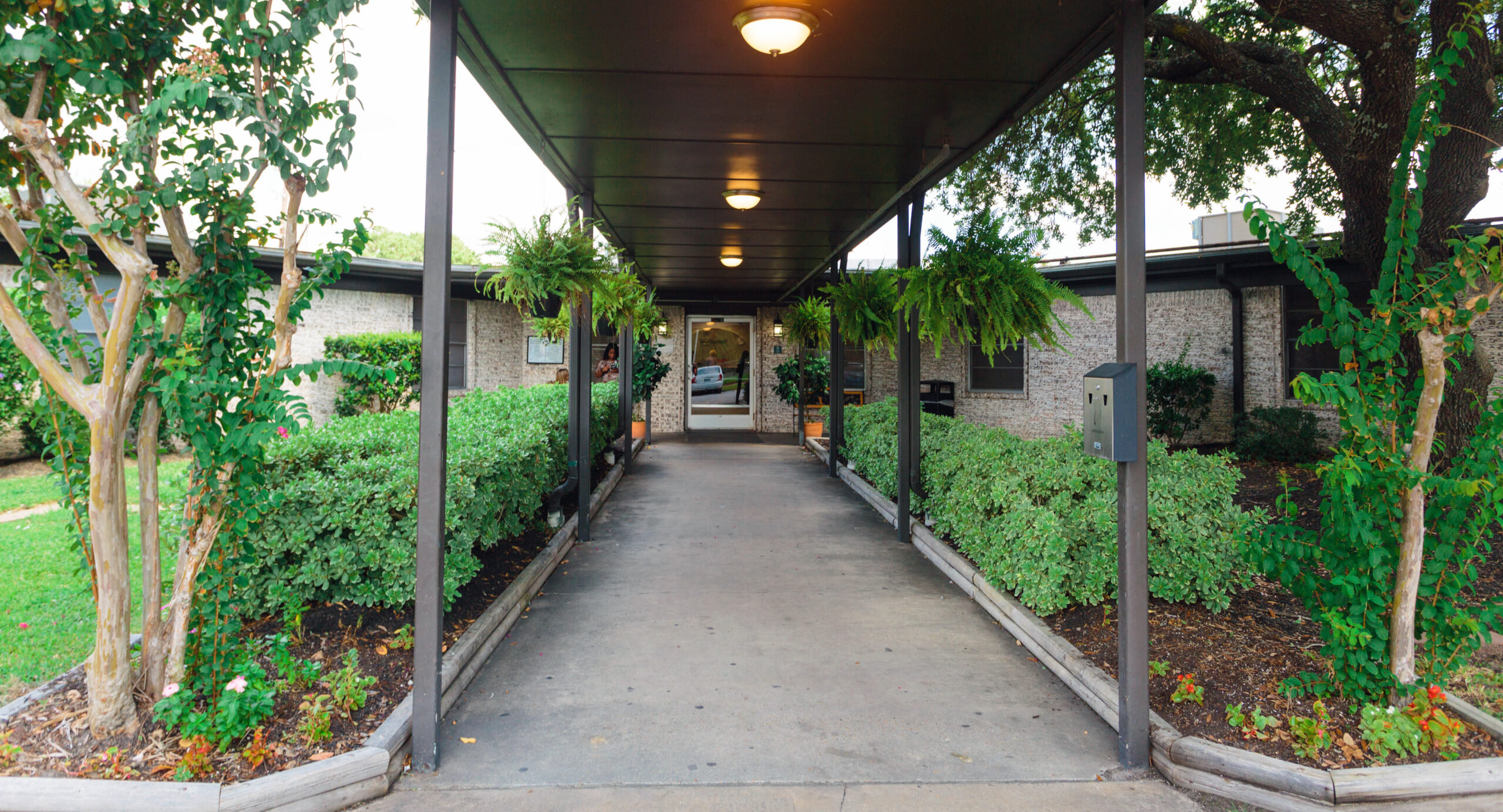 FOCUSED CARE AT HUMBLE