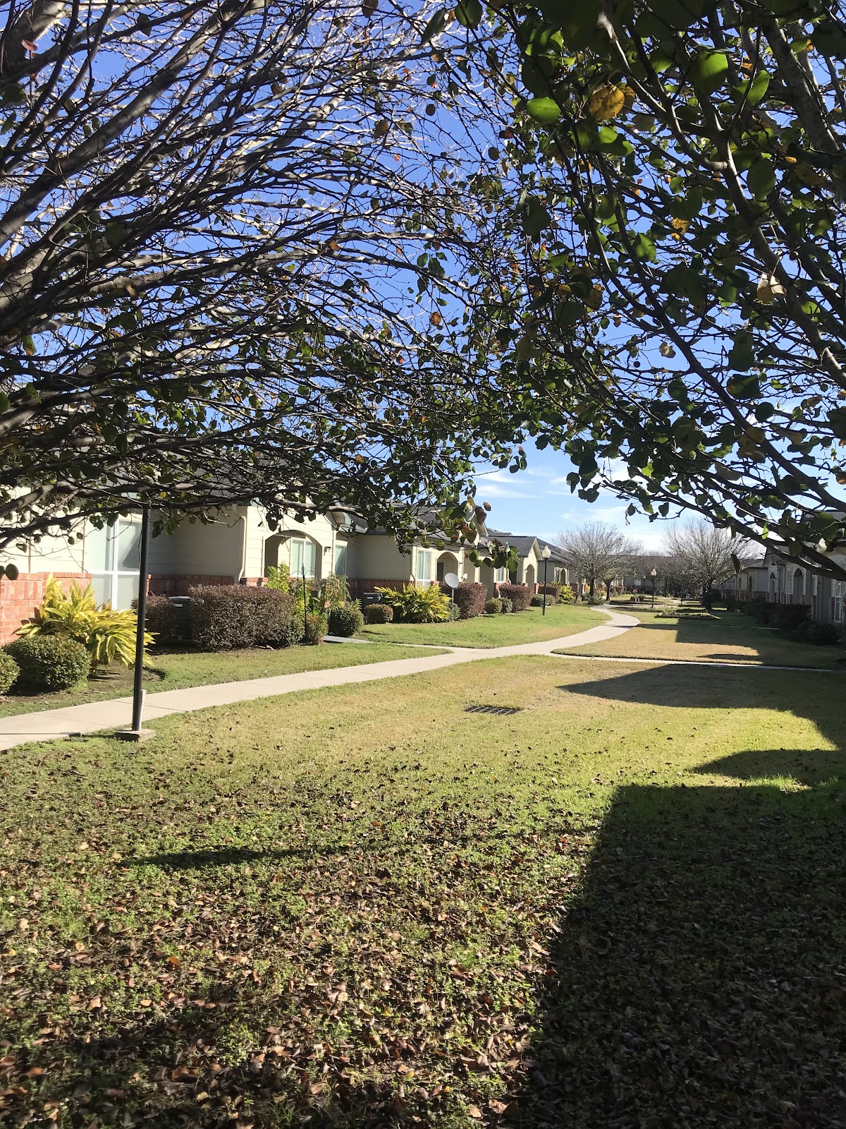 SENIOR VILLAGE