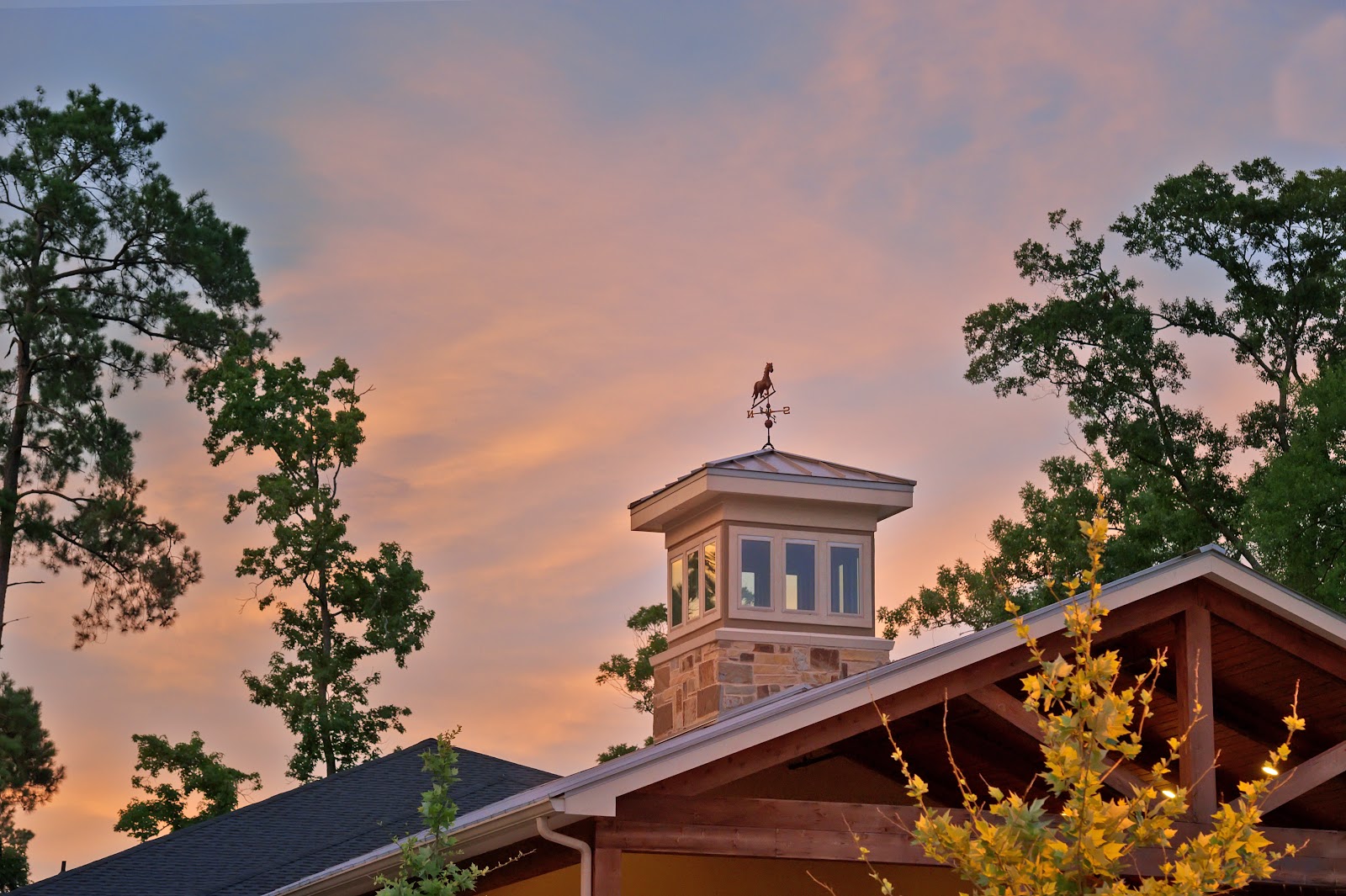 VILLAGE GREEN ALZHEIMER'S CARE HOME LLC photo 3