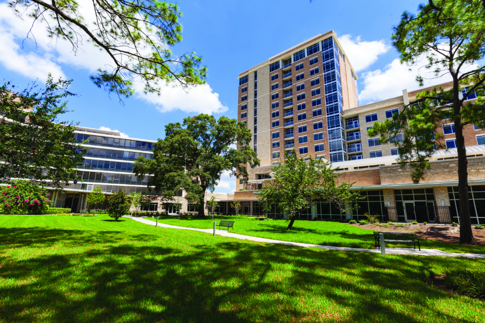 THE VILLAGE OF MEYERLAND