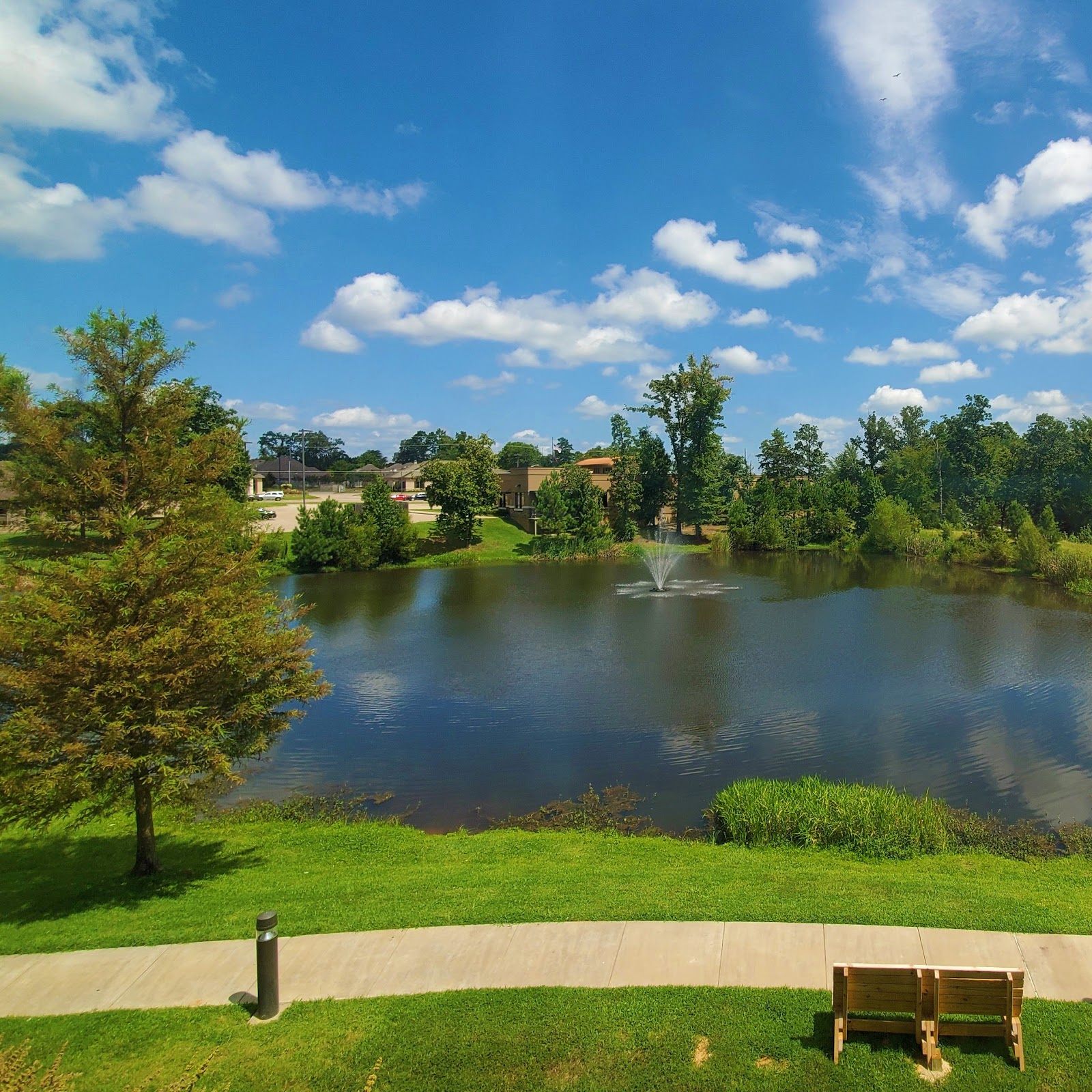 HEARTIS LONGVIEW photo 1